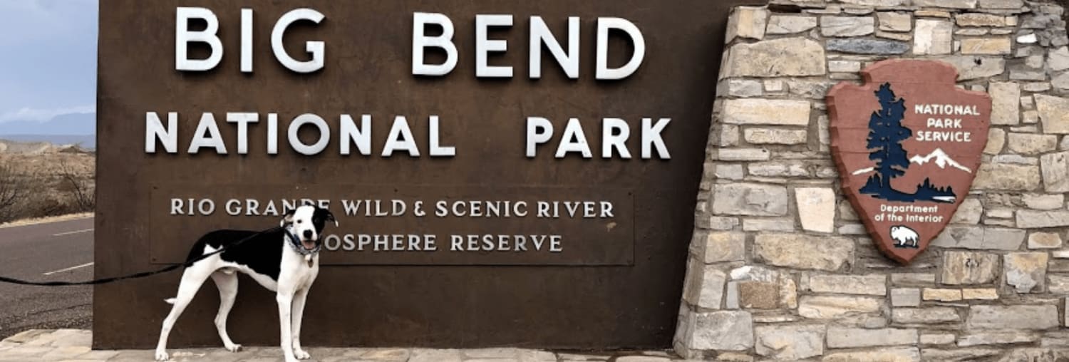Visiting Big Bend National Park With Dogs - TWO WORLDS TREASURES