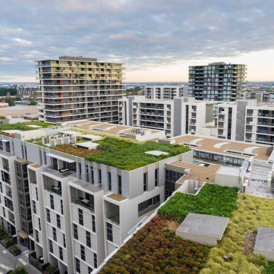 Product of the Month: Green Roofs