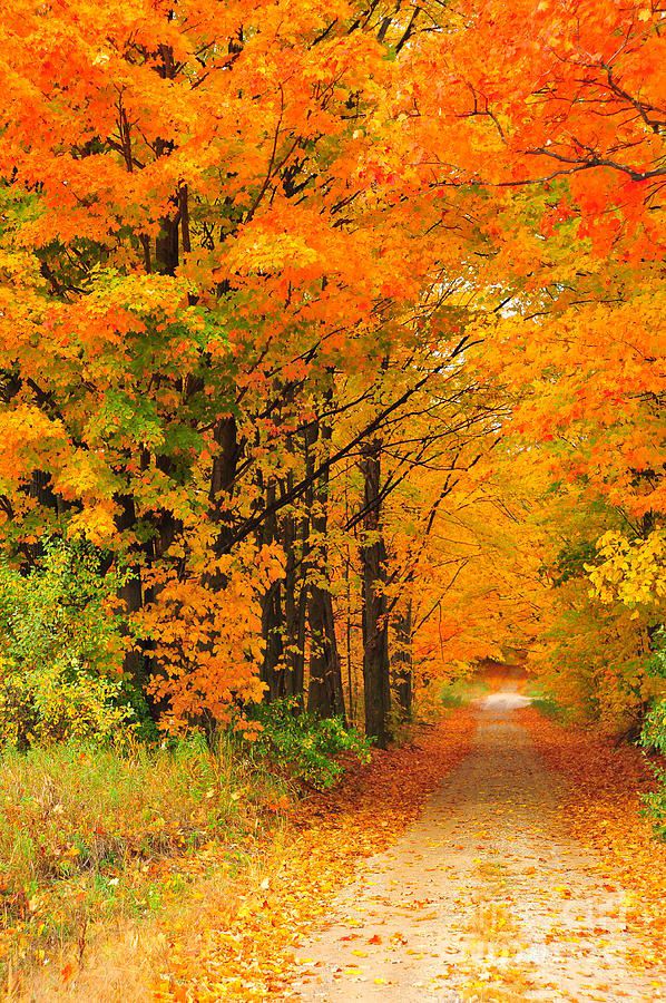 Fall Art for Sale Fine Art America