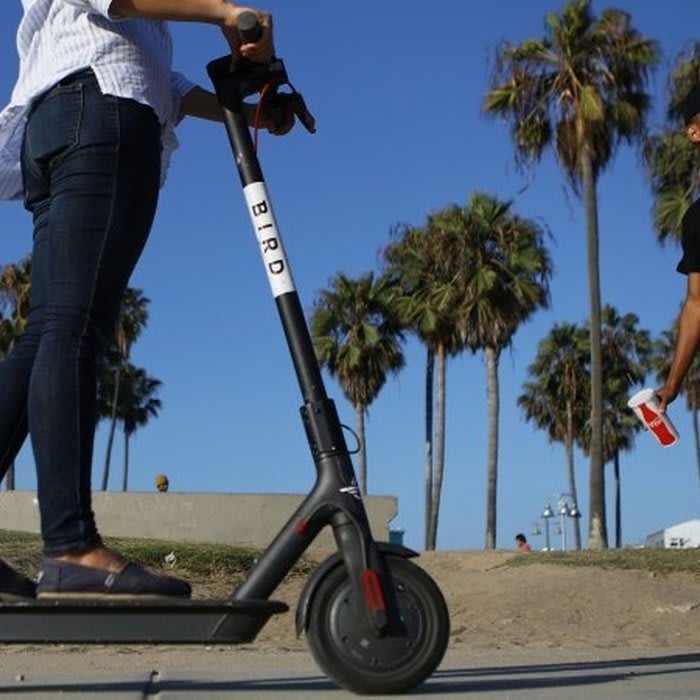 How Bird's E-Scooters Take Over the Streets of a New City