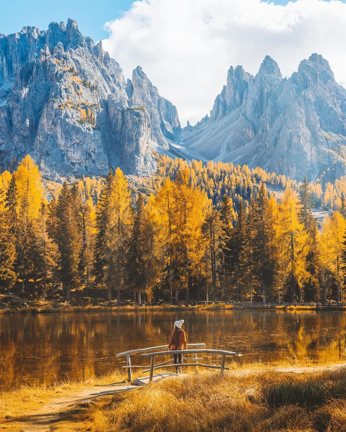 Golden larches around Lake Antorno in the Dolomites, Province of ...