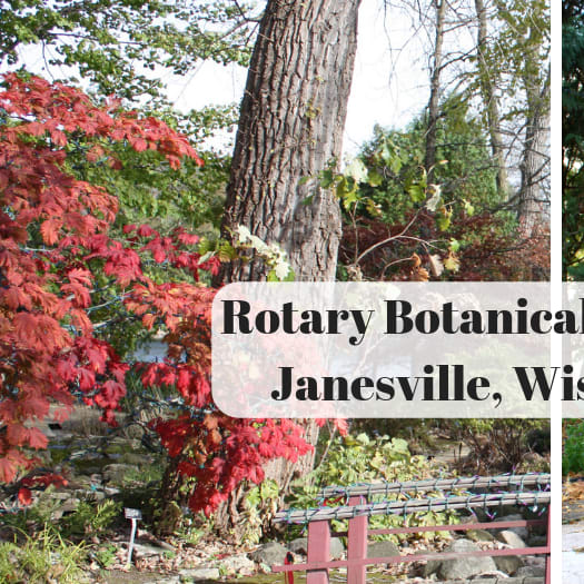 Admiring Nature in Fall at Rotary Botanical Gardens in Janesville, Wisconsin
