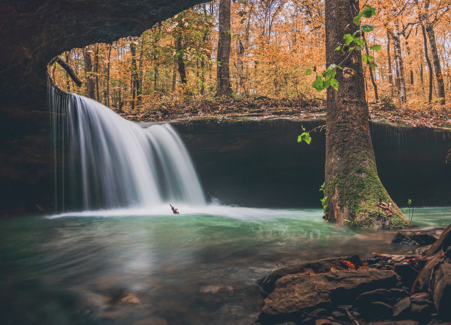 A waterfall in the Ozarks.