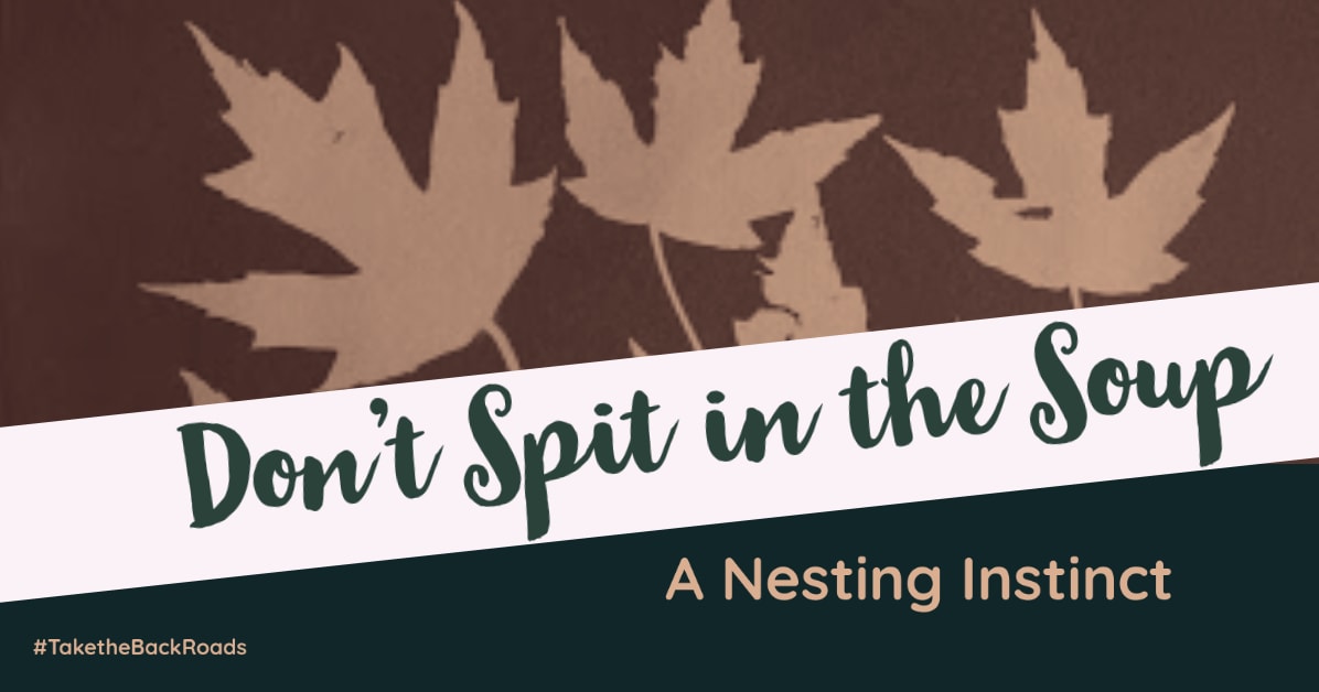 Don't Spit In the Soup - A Nesting Instinct