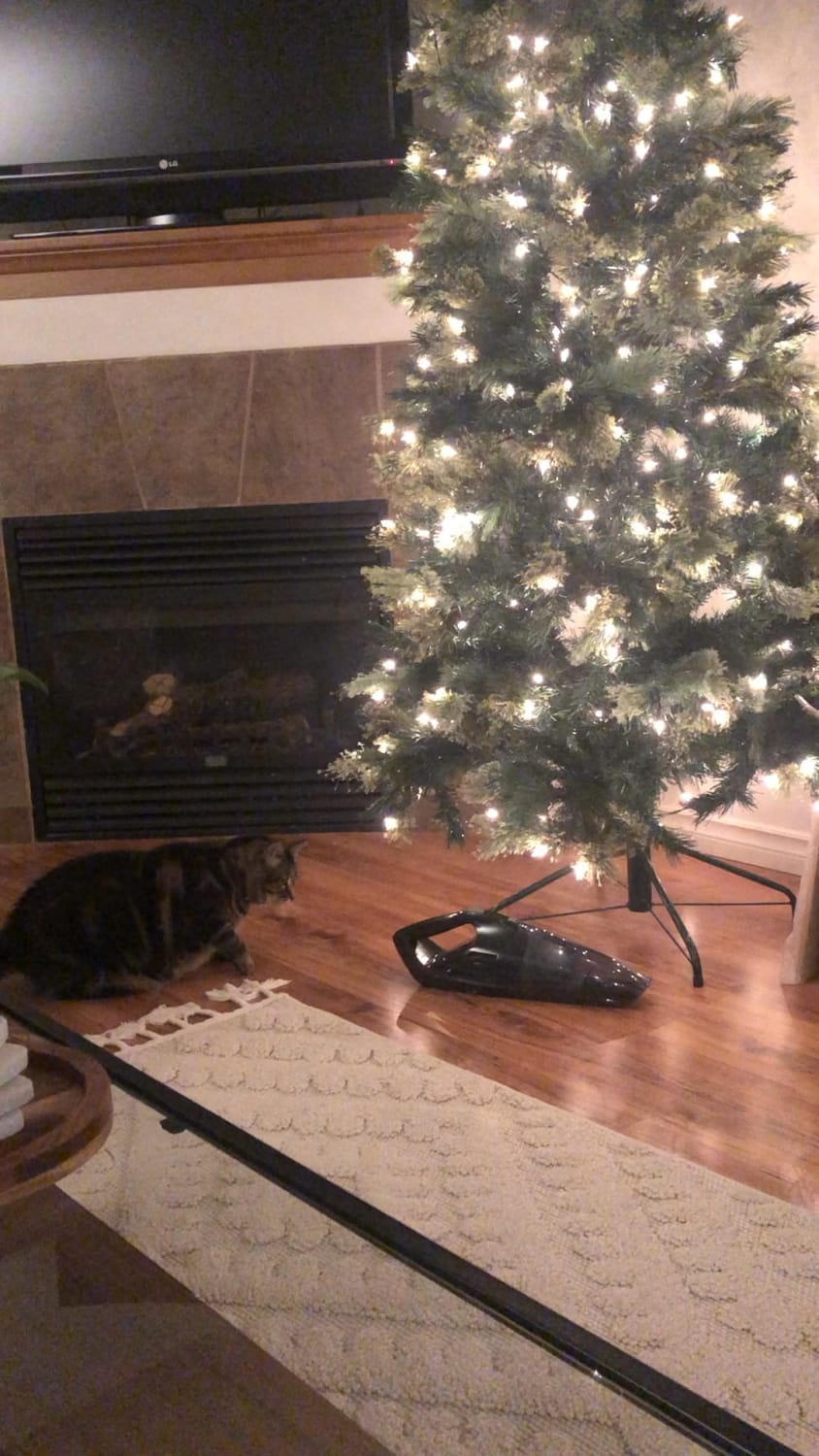 How to protect your tree from your cat: mini vacuum edition