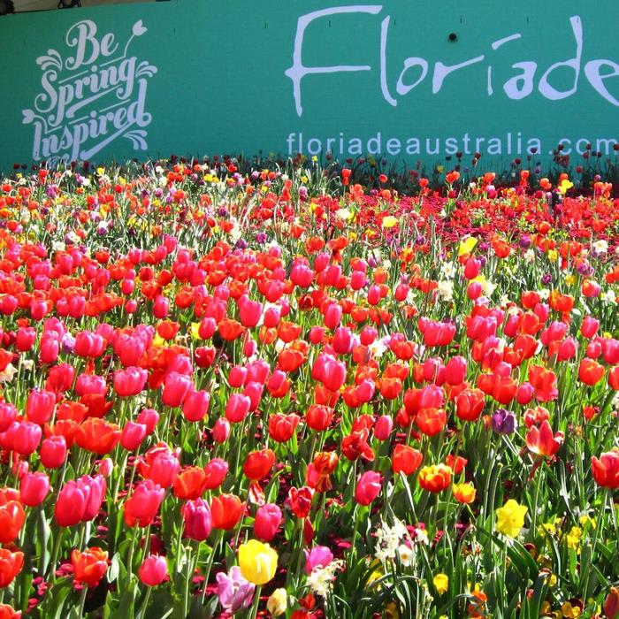 Where to eat when visiting Floriade 2018