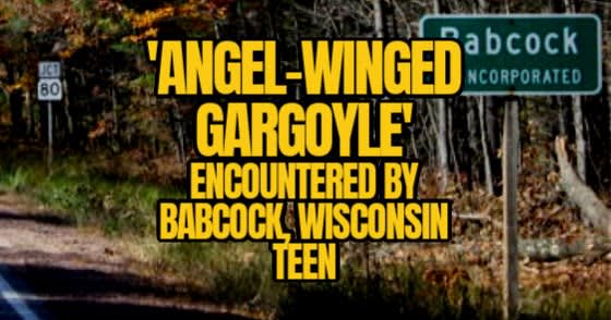 'Angel-Winged Gargoyle' Encountered by Babcock, Wisconsin Teen