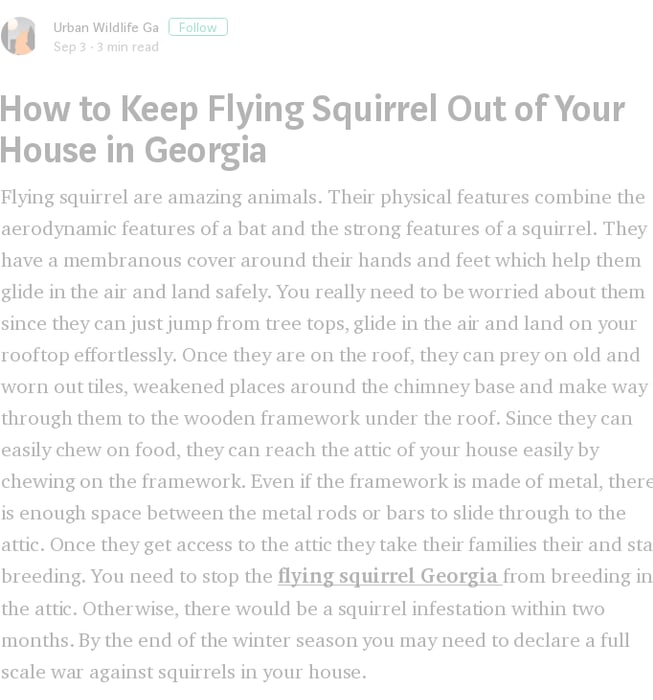 How to Keep Flying Squirrel Out of Your House in Georgia