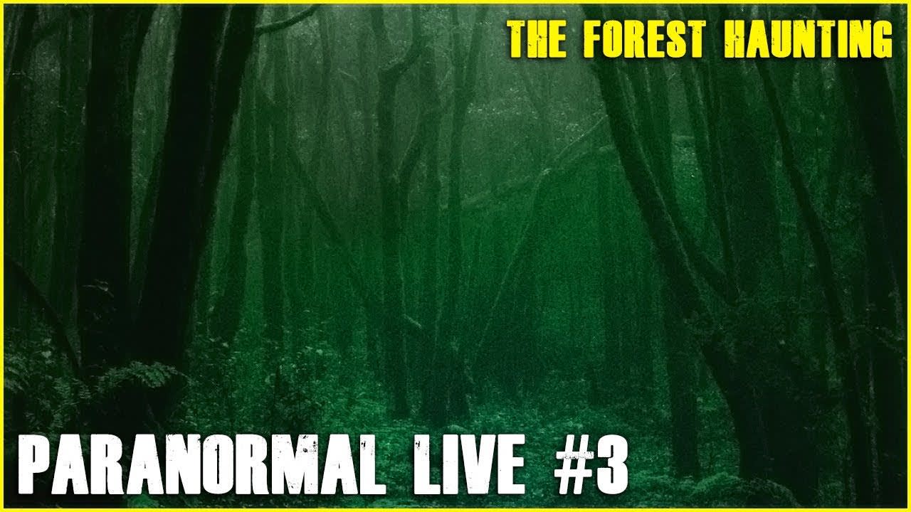 Paranormal LIVE #3 | The Forest Comes Alive!