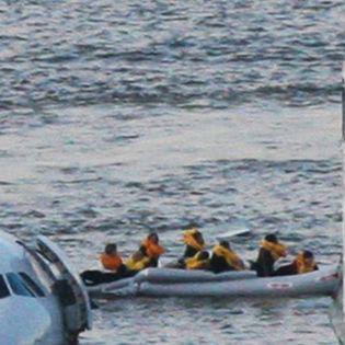 Blood In The Sky: 10 Years After The Miracle On The Hudson, Bird Strikes Remain An Unsolved Danger For Aviation