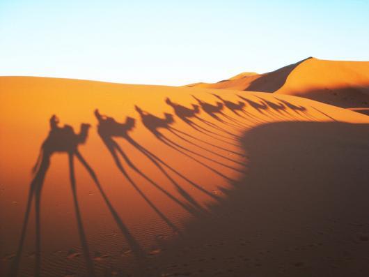 https://cameltrekking-excursions.com/morocco-tours/4-days-marrakech-to-fes-via-desert-camel-trek