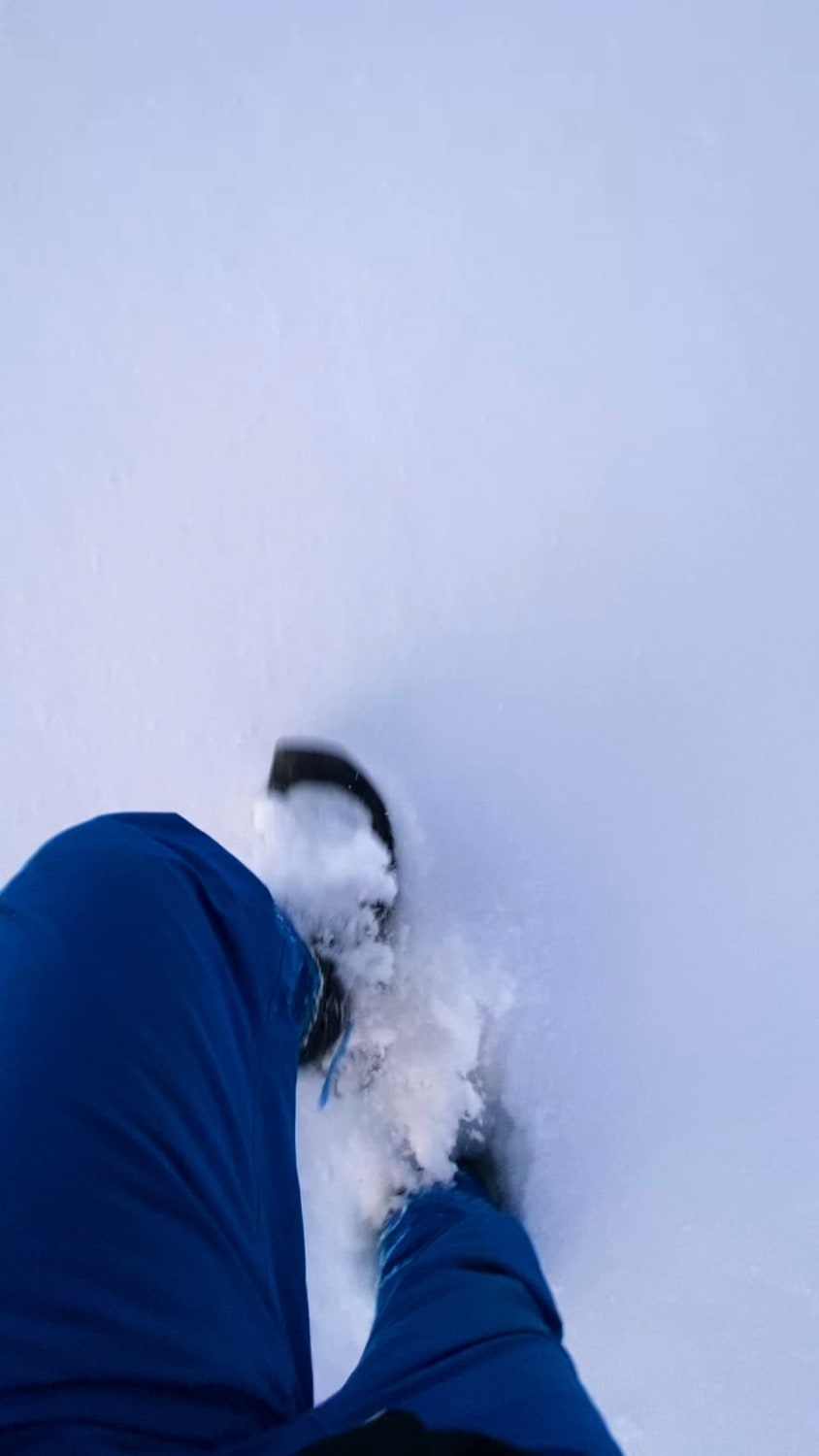 Snowshoeing in Swedish Lapland