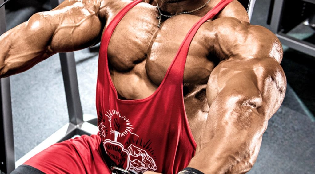 D-Bal Max Detailed Review- 2019 Best Legal Steroid In 2019