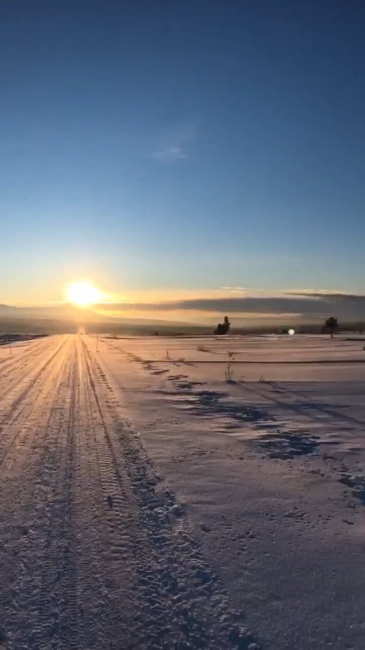 Røros, Norway Jan 2019. With bonus reindeer included.