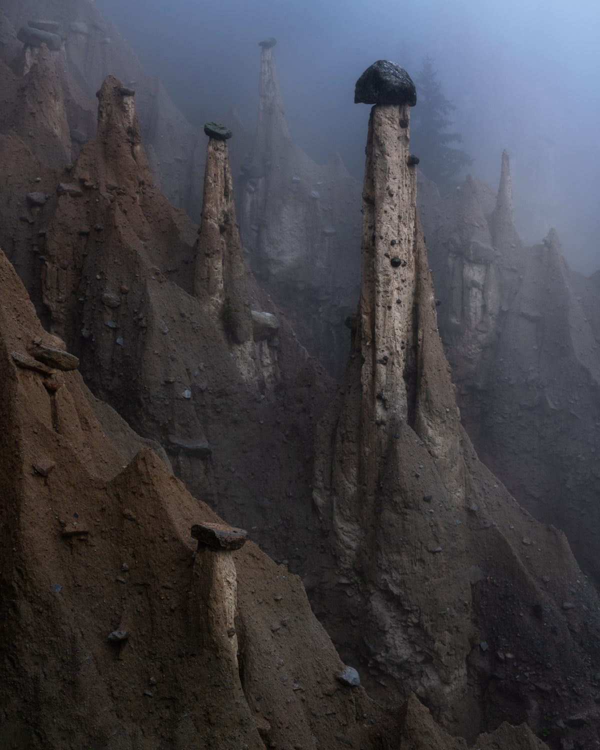 Mysterious creatures aka. Valle del Viagra, Dolomites, South Tyrol
