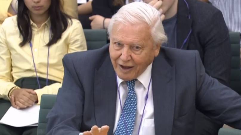 David Attenborough Goes In On Scott Morrison For Supporting Coal Mines