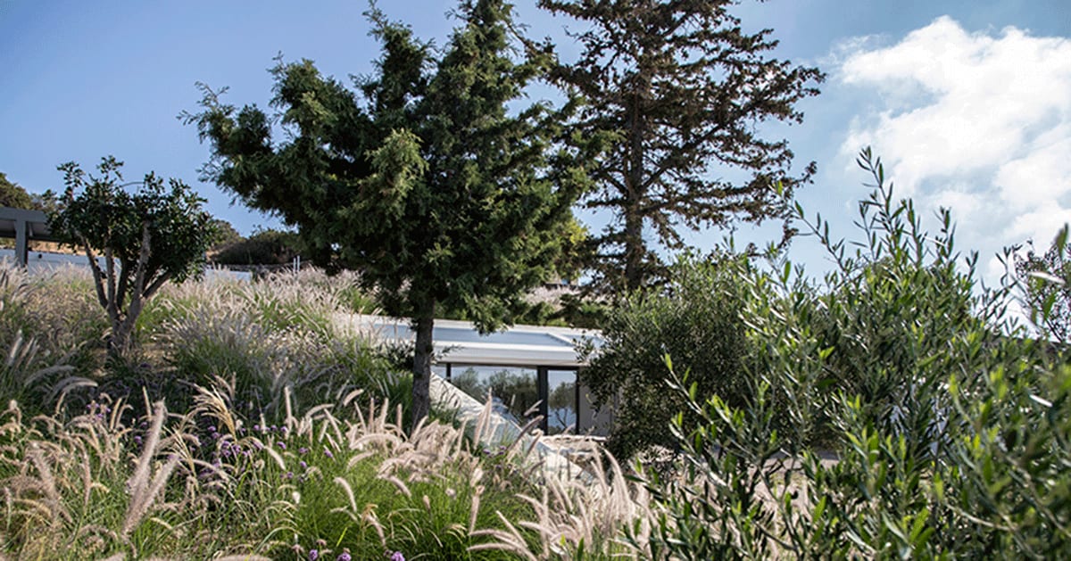 'secret garden house' by scapearchitecture is a hideaway woven into greek island landscape