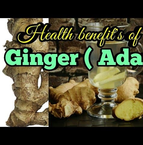 Ginger ( benefit's of ginger)