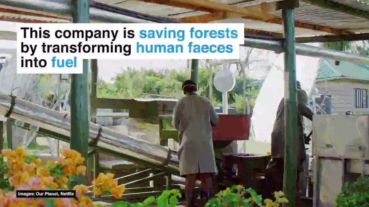 We're bringing you some positivenews at this very difficult time. This innovative company in Kenya is fighting deforestation, preventing pollution and providing local jobs with a new eco-fuel made from human waste. 💩💪