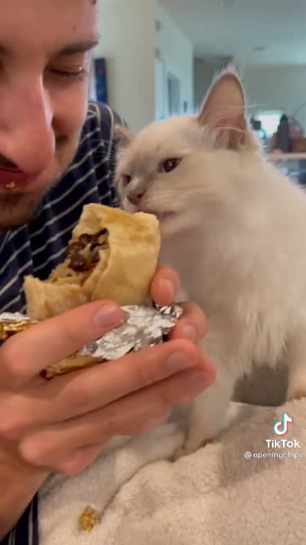 Can't even eat my burrito in peace