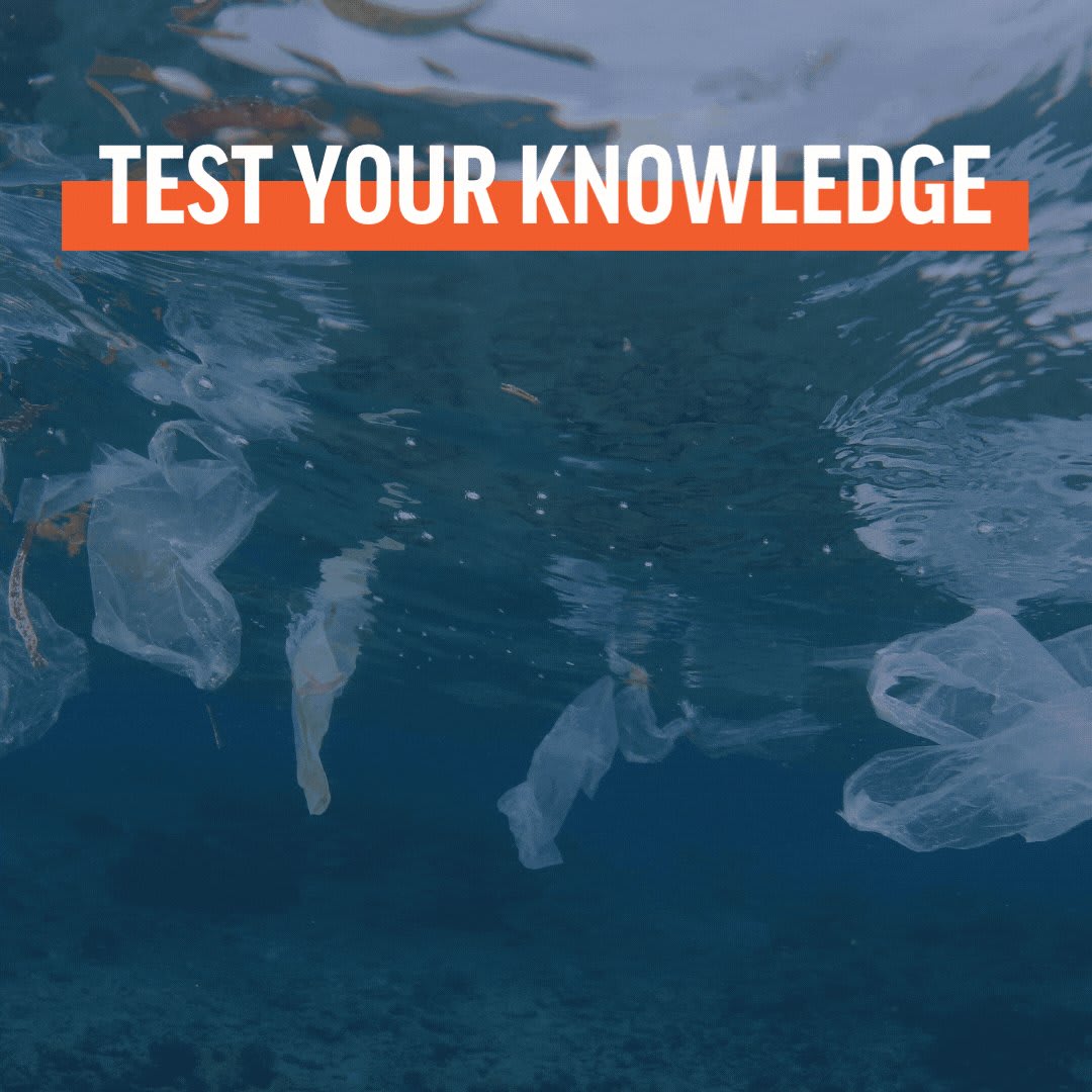 QUIZ: How much do you know about the plastic pollution crisis in our #oceans? Test your knowledge about this major threat facing our oceans!