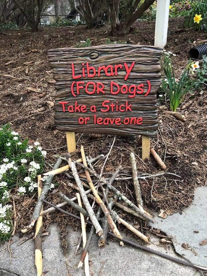 This library for dogs that someone created 🐶