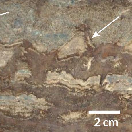 Claims of evidence of earliest fossils on Earth face scrutiny