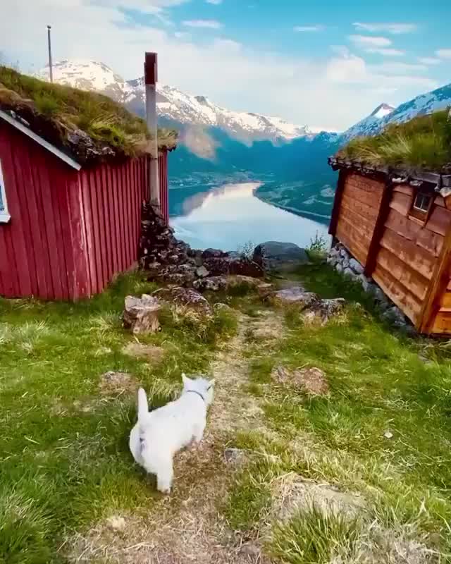 A backyard view in Norway