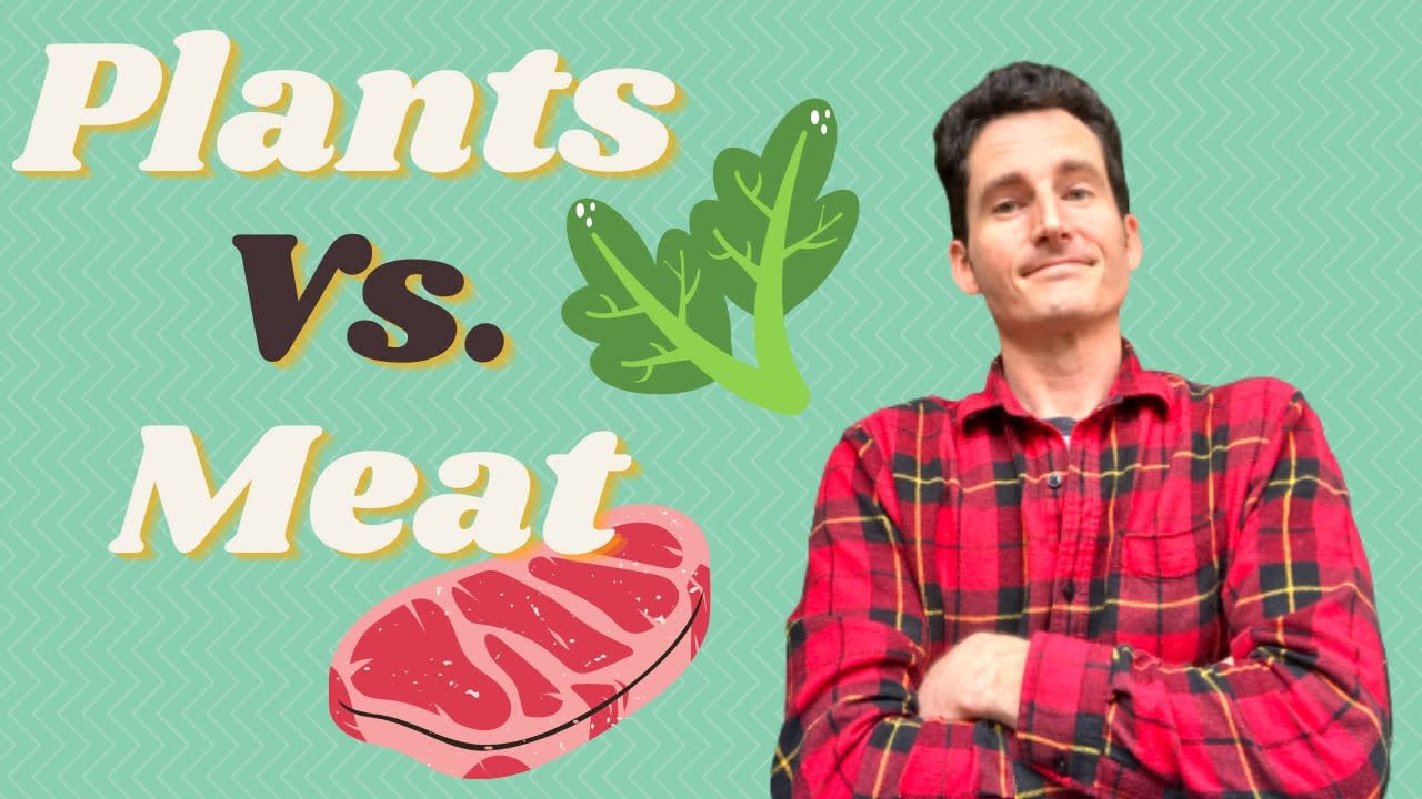 Plant-Based vs Meat Diet Debate Studies - Is a plant based diet better than eating meat?