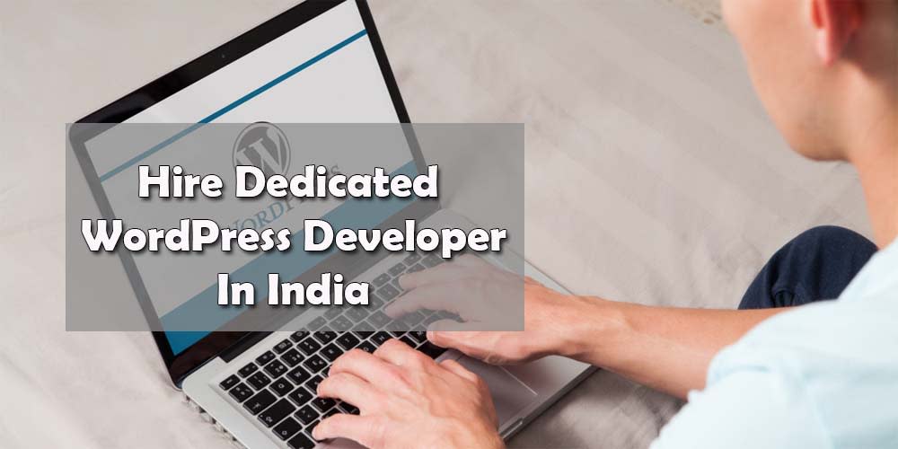 Hire Dedicated Wordpress Developer in India |Web Idea Solution