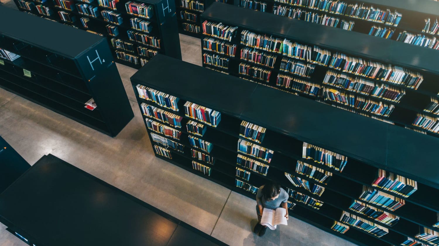 25 Amazing Facts About Libraries
