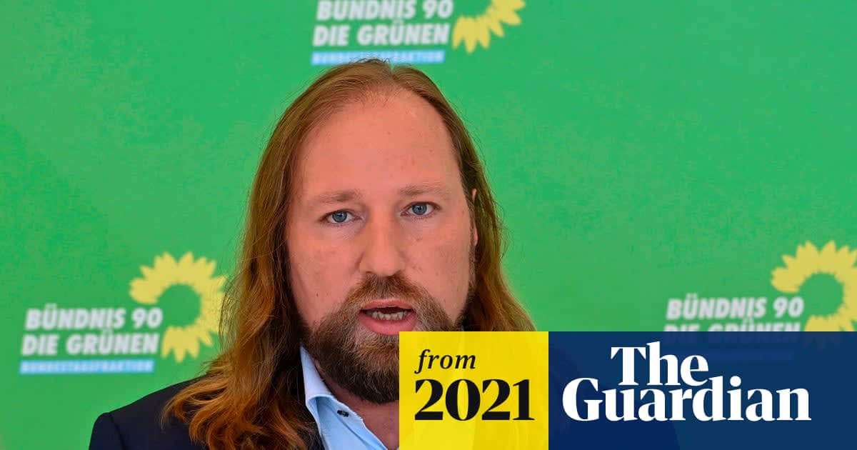 German Green MP calls for ban on new urban single-family houses