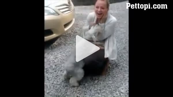 Dog Passes Out From Excitement As It Greets Its Owner For The First Time In 2 Years - Funny Pet Videos - Funny Pets Pictures