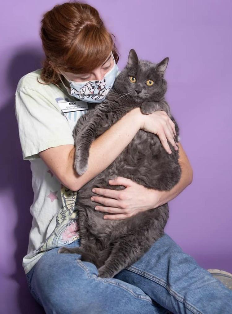 My local humane society just posted this amazing chonk for adoption