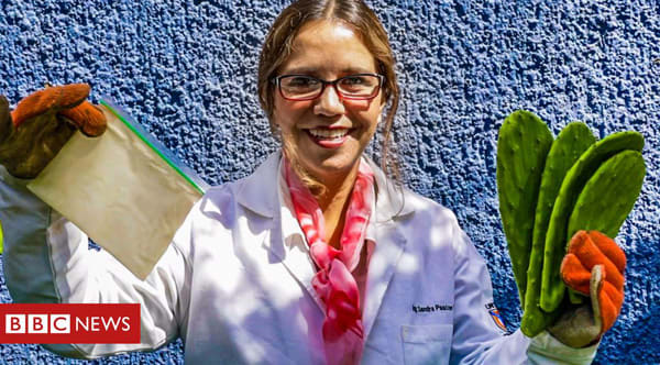 Mexican Researcher Creates Plastic From Cactus That Is Biodegradable And Safe To Ingest