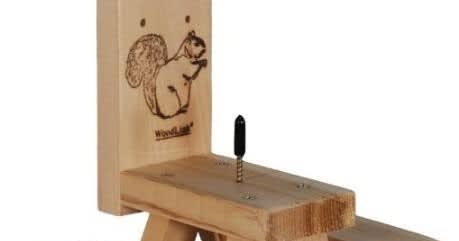 Best Squirrel Feeder : Woodlink Picnic Table