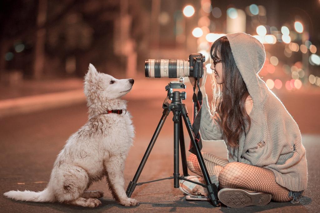 The Secrets to make your Pet Famous on Social Media
