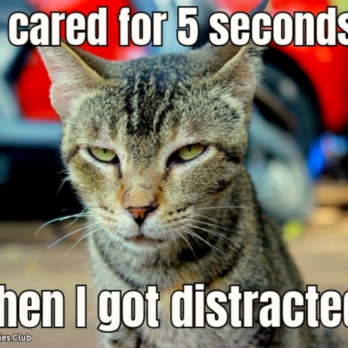 I cared for 5 seconds...