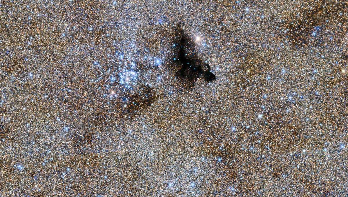 What do 10 *million* stars look like?