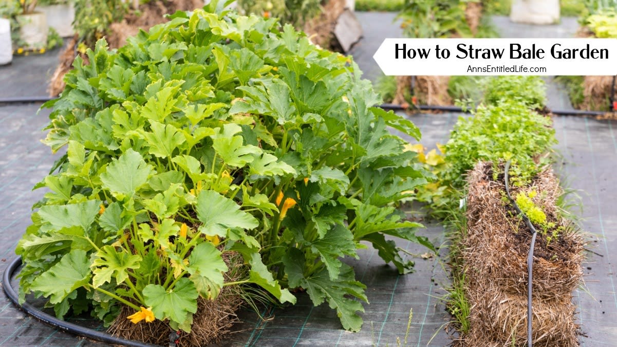 How to Straw Bale Garden