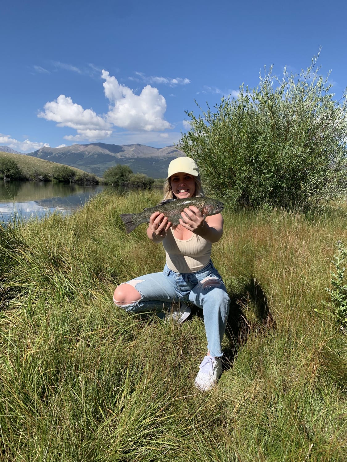 Rainbow Trout Colorado