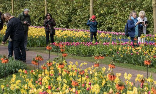 Tourism in the Netherlands increases