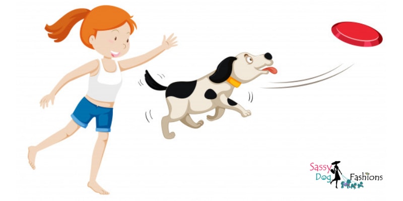 Fun Exercise Routine To Keep Your Pet Healthy & Active