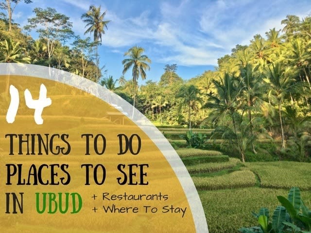 14 Places To See In Ubud (Waterfalls included)