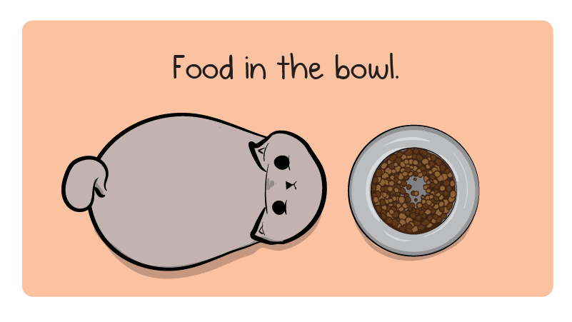 Food in the bowl