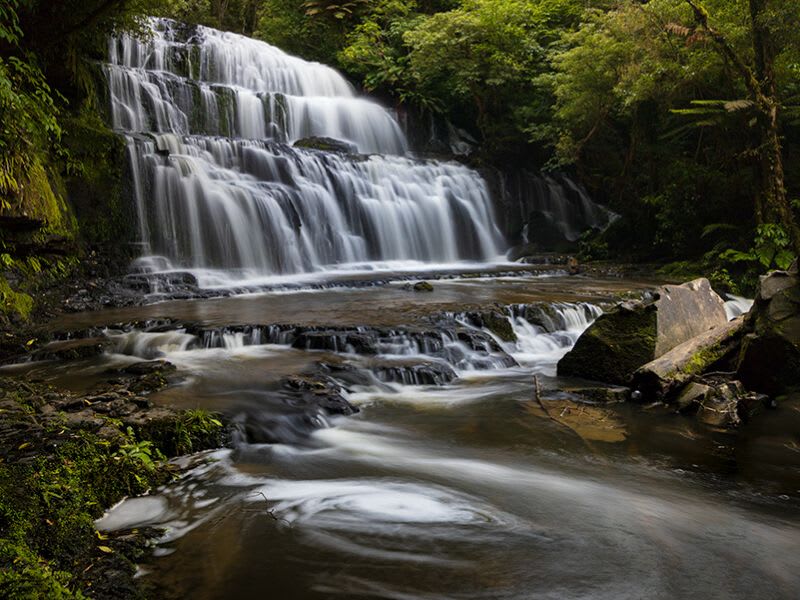 Road Trip Through the Catlins to These 18 Epic Locations You're Going to Love