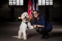 The most important task for a PTSD service dog for veterans is disrupting anxiety