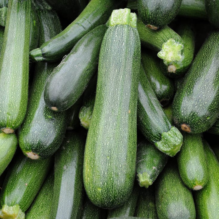 How To Grow Zucchini (From Seed To Harvest)