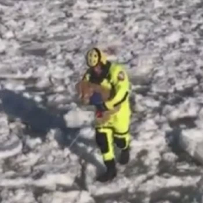 First responders rescue blind, elderly dog who wandered out onto ice