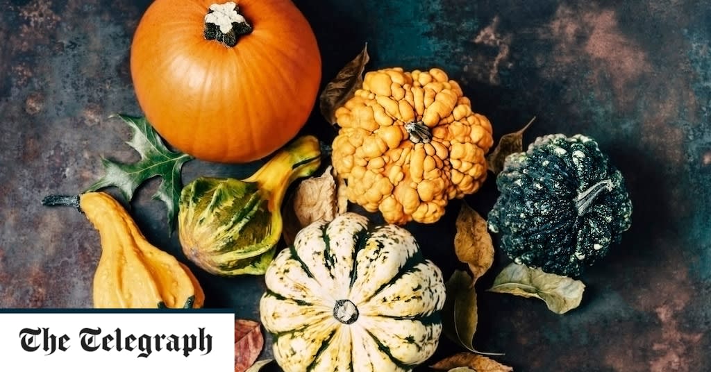 How to grow and carve Halloween pumpkins